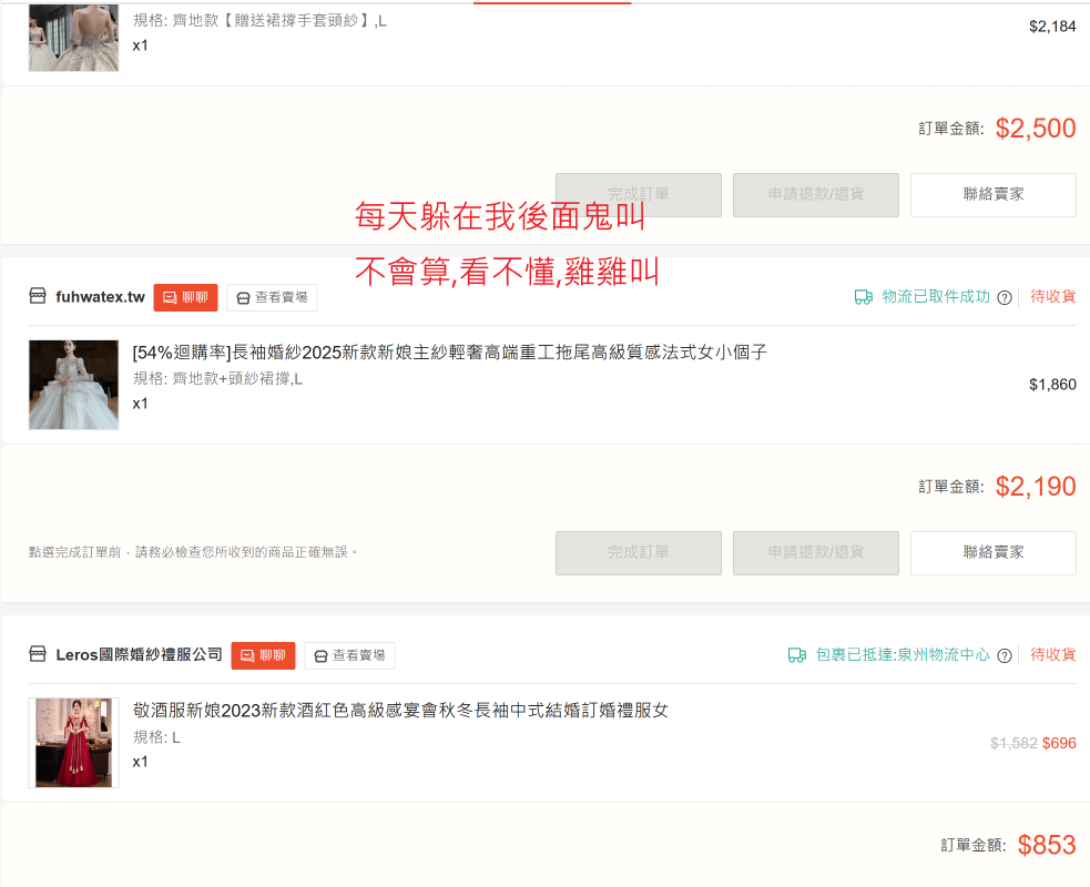 螢幕擷取畫面 2025-02-28 022230.png